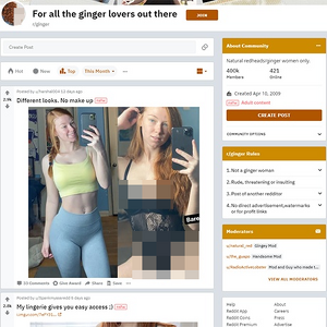 Ginger screenshot