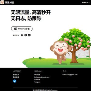 黑猴加速 screenshot