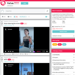 Reddit TikTok Porn screenshot