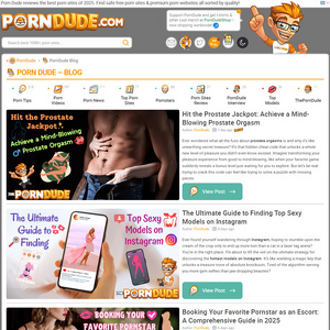 ThePornDude Blog screenshot