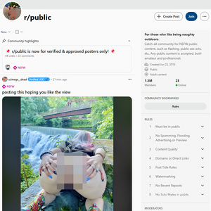 Reddit Public screenshot