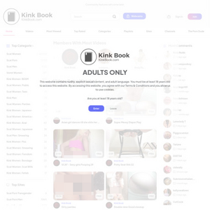 KinkBook screenshot