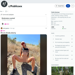 Reddit Public Sex screenshot
