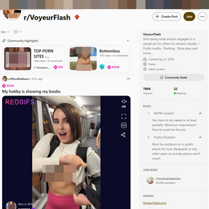 Reddit VoyeurFlash screenshot