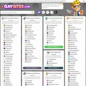 MyGaySites screenshot