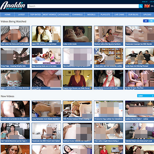 Analdin screenshot