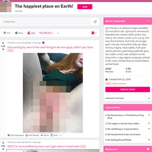 Pussy screenshot