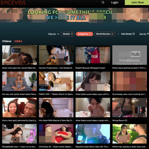 SpiceVids Asian screenshot