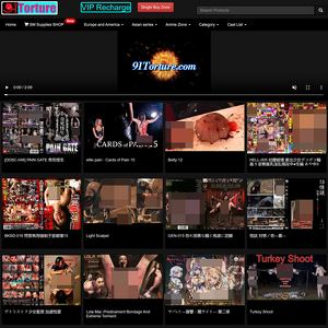 91Torture, Paid Extreme Porn Site logo