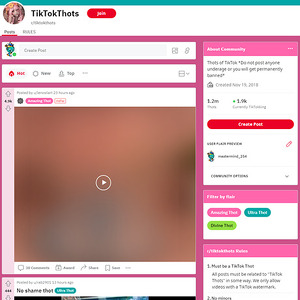 Reddit TikTokThots screenshot