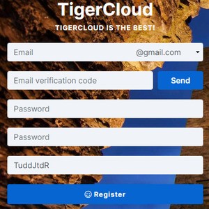 虎云VPN screenshot